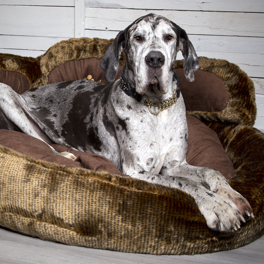Grizzly Bear Dog Bed (in Beige, Brown) by Scruffs