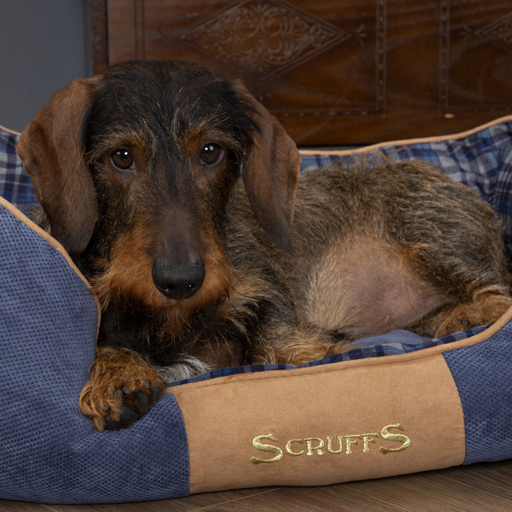 Highland Box Dog Bed (in Blue or Red) by Scruffs