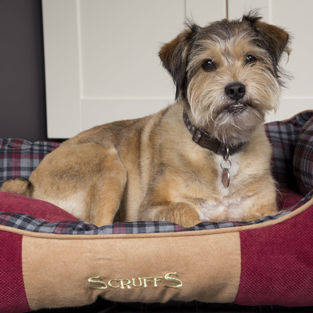 Highland Box Dog Bed (in Blue or Red) by Scruffs