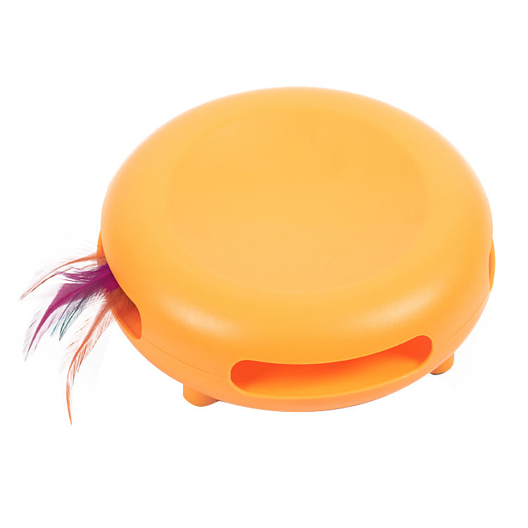 Entertaining Feline Feeding Station