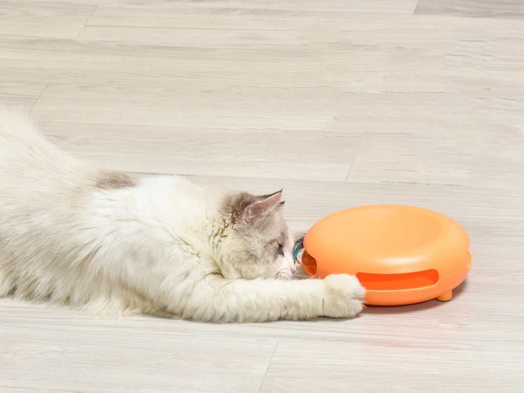 Entertaining Feline Feeding Station