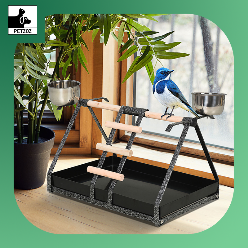 Bird Playstand with Wooden Perch Ladder Feeding Cups for Macaw Parrot Conure