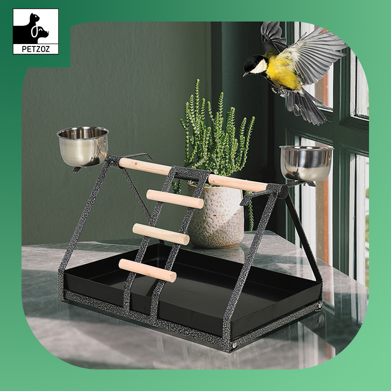 Bird Playstand with Wooden Perch Ladder Feeding Cups for Macaw Parrot Conure