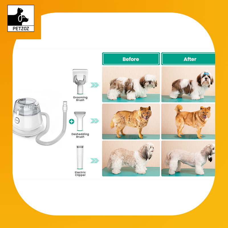 Professional Pet Grooming Vacuum Kit- P20 300W