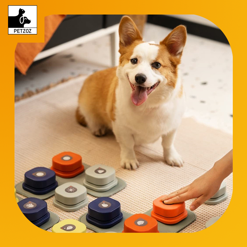 Pet Communication Button-Physical Inactivity Pet Products