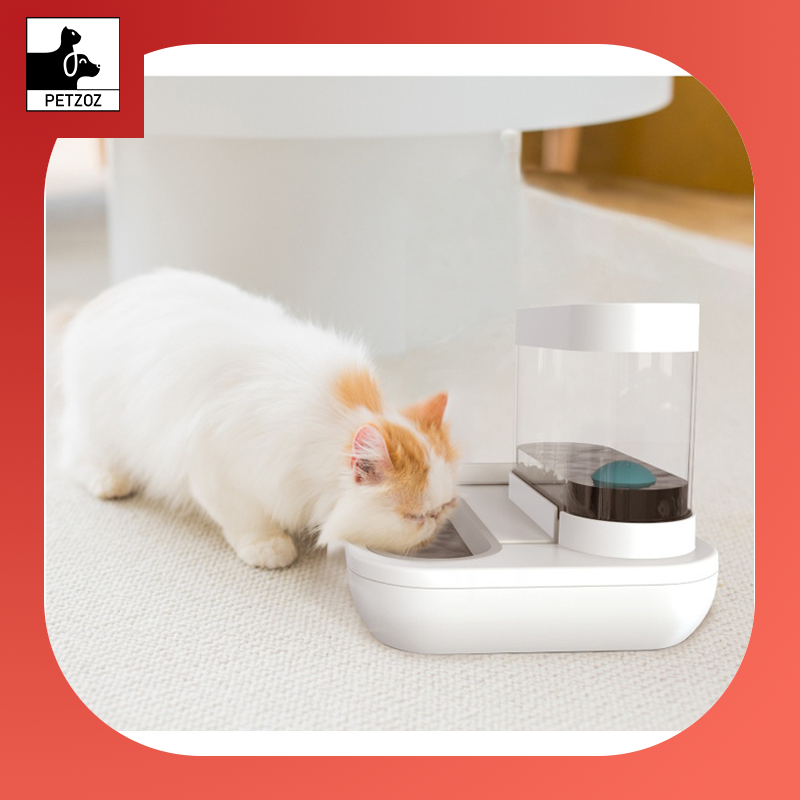 4 Style Pet Cat Bowl Dog for Cats Feeder Bowls Kitten Automatic Drinking Fountain 1.5L Capacity Puppy Feeding Waterer Products