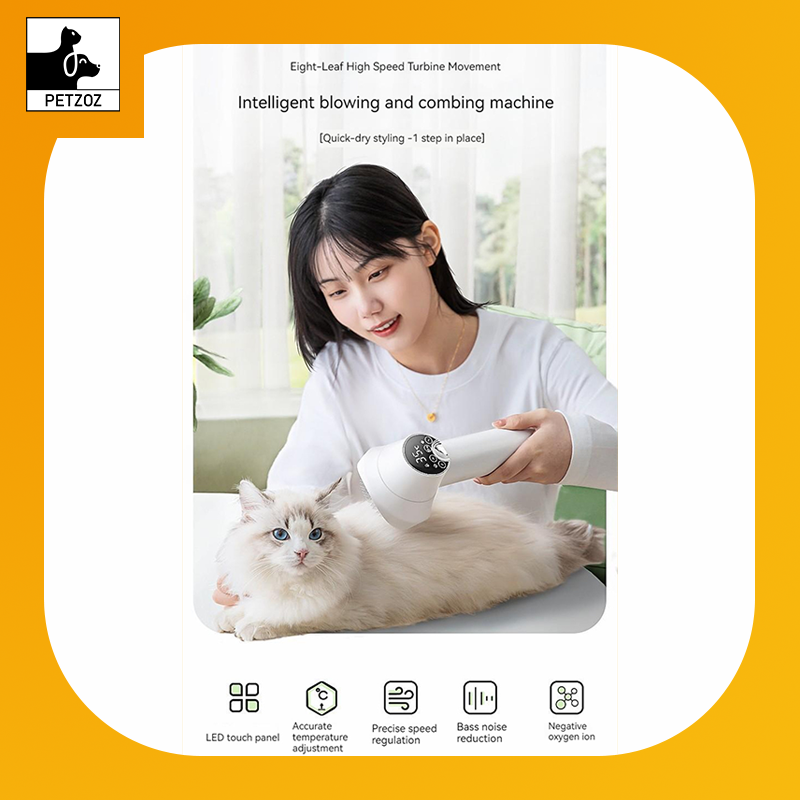 Smart Pet Hair Dryer Dog Golden Retriever Cat Grooming Hairdressing Blow & Comb Silent No Harm Pet Cleaning Supplies Pet Products