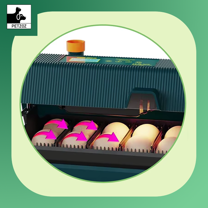 Incubator for Hatching Eggs Automatic Egg Turning 10 Eggs LED Efficient Egg Illumination Display Screen Multifunctional Egg Tray