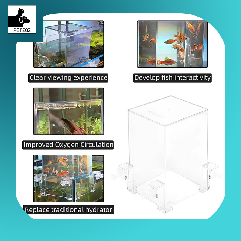 Fish Elevator Water Auto-Refill Negative Pressure Suspended Fish Tank Aquarium Decoration Increase Pets Fish Activity Area