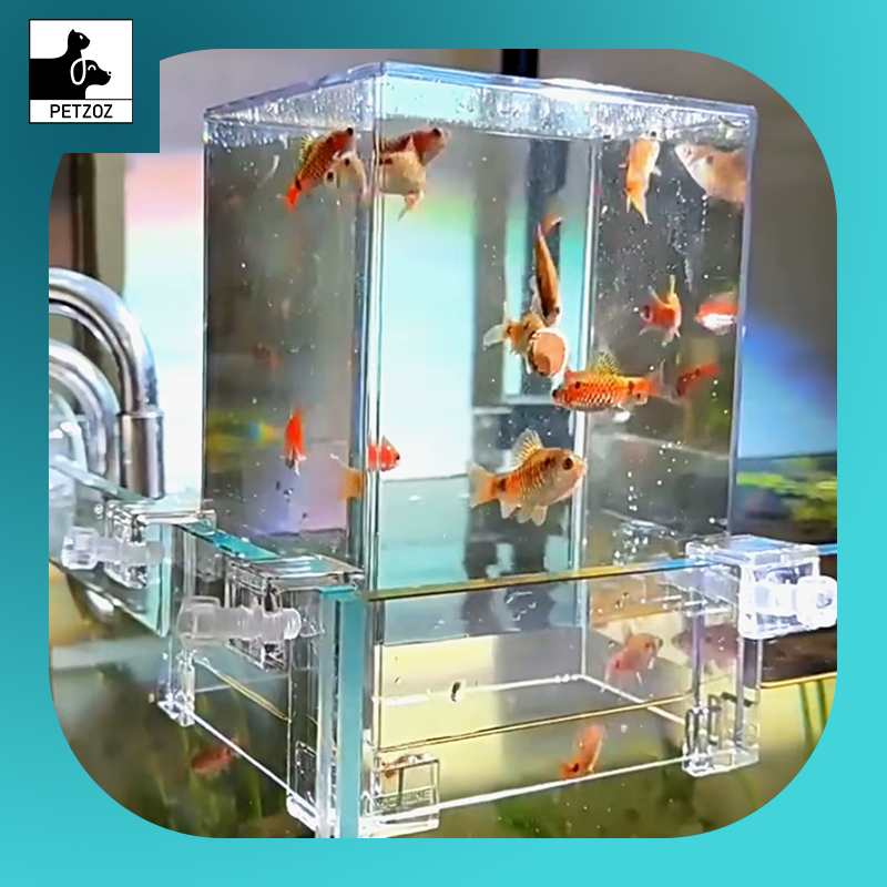 Fish Elevator Water Auto-Refill Negative Pressure Suspended Fish Tank Aquarium Decoration Increase Pets Fish Activity Area