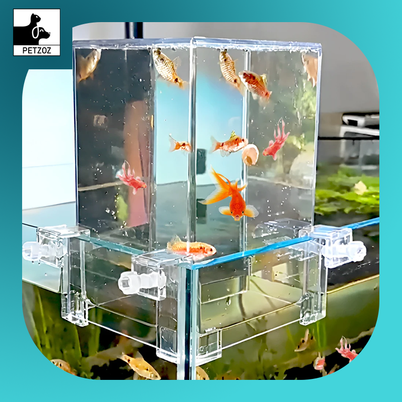 Fish Elevator Water Auto-Refill Negative Pressure Suspended Fish Tank Aquarium Decoration Increase Pets Fish Activity Area