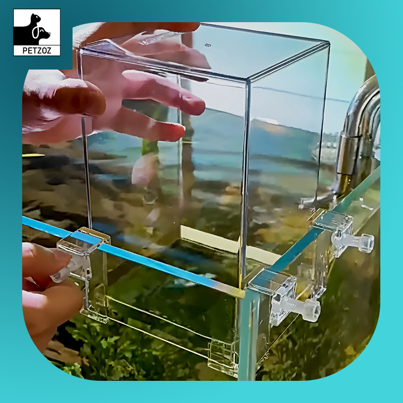 Fish Elevator Water Auto-Refill Negative Pressure Suspended Fish Tank Aquarium Decoration Increase Pets Fish Activity Area