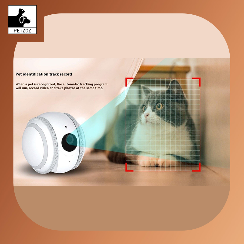 Pet Companion Robot Cat Monitoring