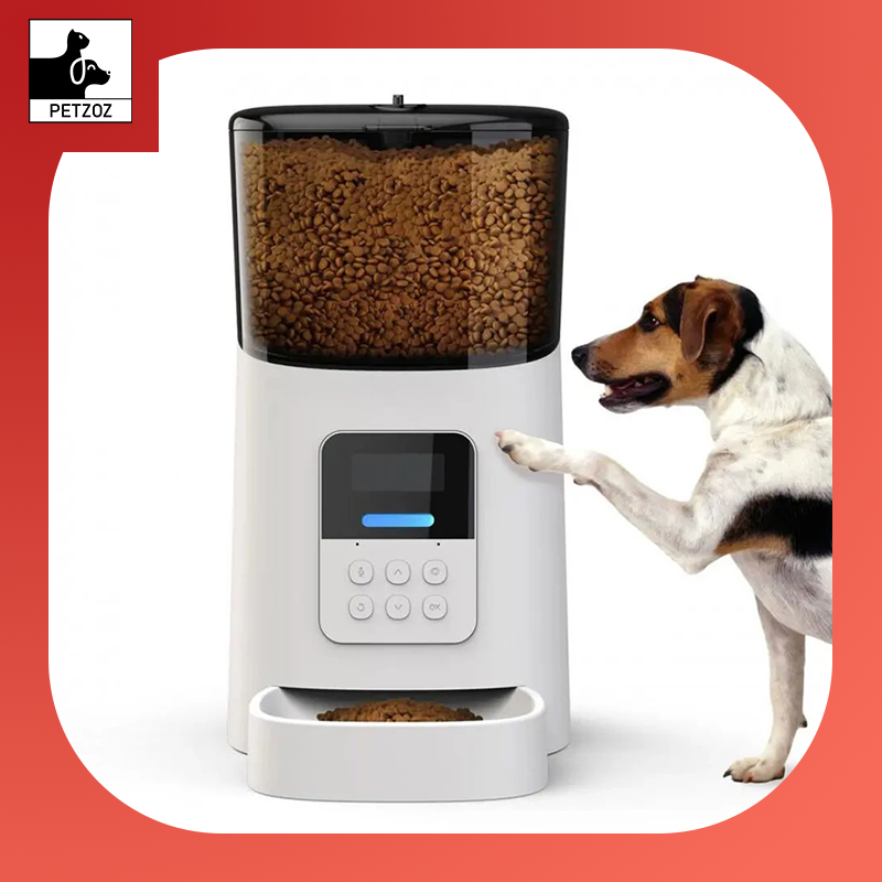 6L Large Capacity Intelligent Wifi Automatic Pet Feeder for Pet Cats Dogs Smart Food Dispenser APP Timer Pet Feeding Bowl