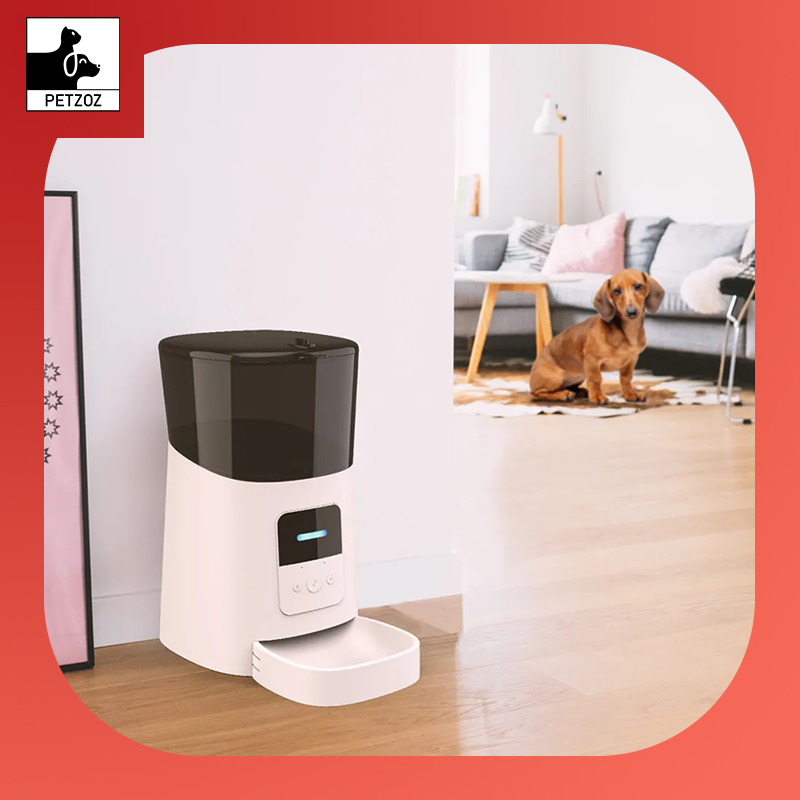 6L Large Capacity Intelligent Wifi Automatic Pet Feeder for Pet Cats Dogs Smart Food Dispenser APP Timer Pet Feeding Bowl