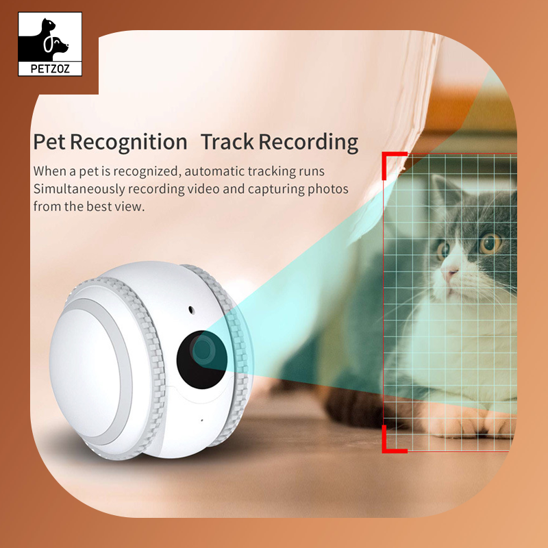 Pet Companion Robot Cat Monitoring