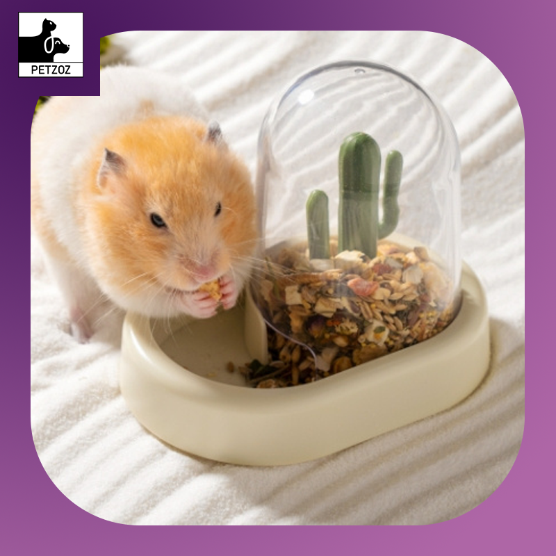 Hamster Automatic Feeder-Creative Cactus