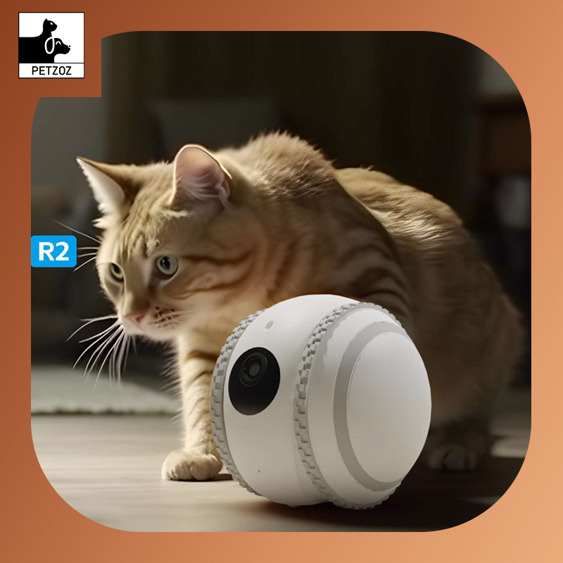 Pet Companion Robot Cat Monitoring