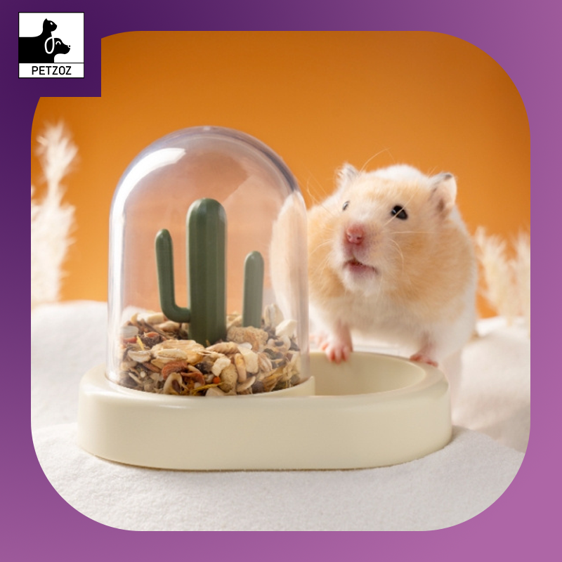 Hamster Automatic Feeder-Creative Cactus