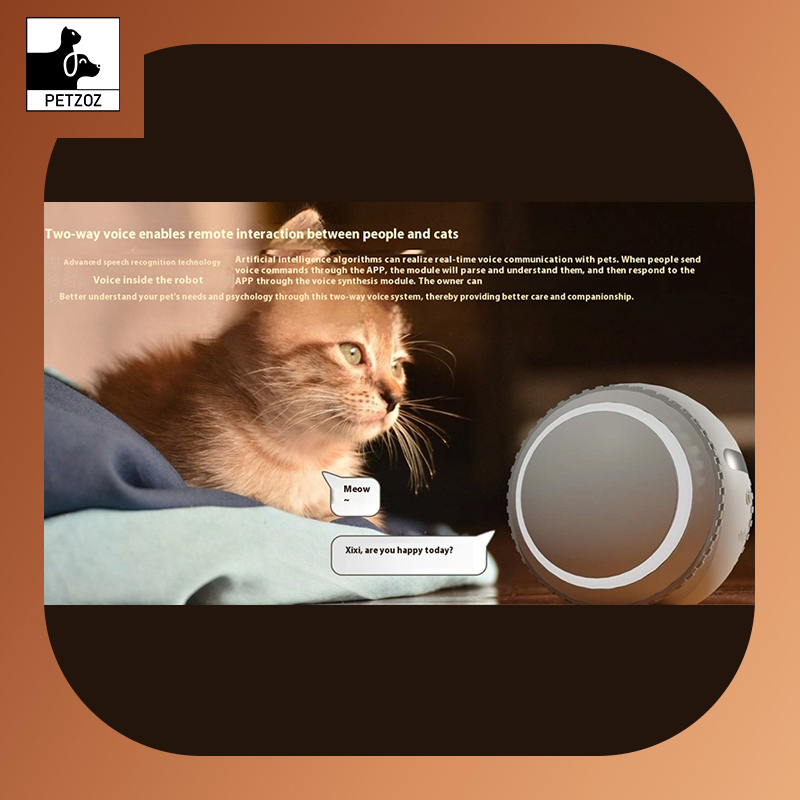 Pet Companion Robot Cat Monitoring