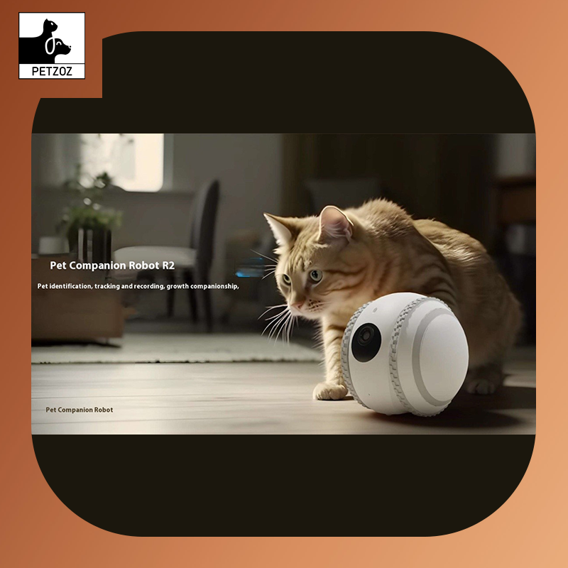 Pet Companion Robot Cat Monitoring
