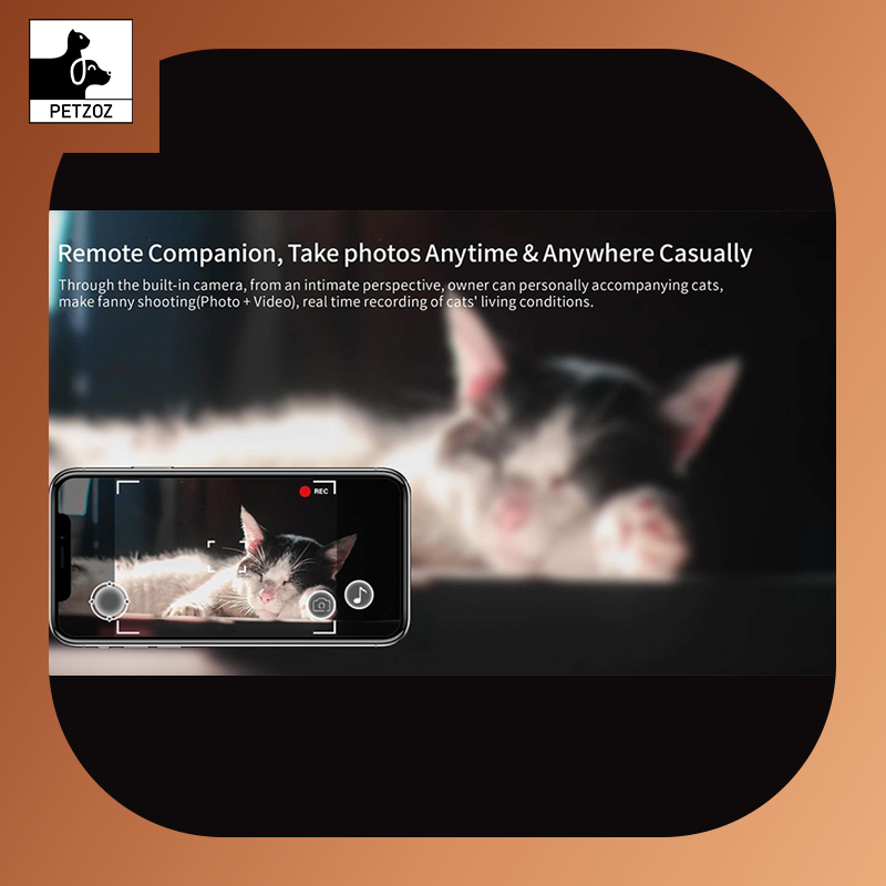 Pet Companion Robot Cat Monitoring