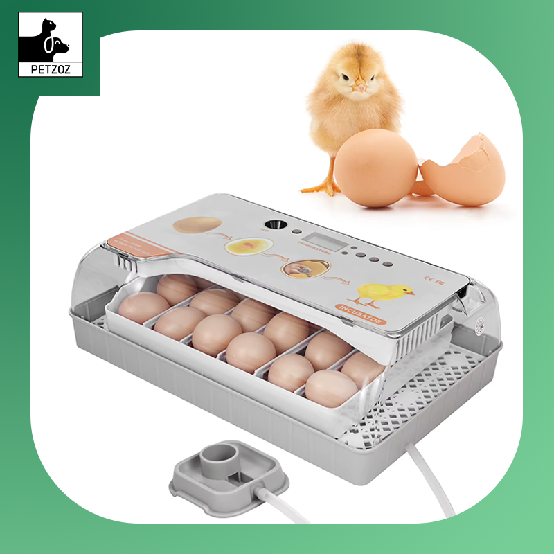Digital Egg Incubator 20 Eggs Poultry Hatcher Auto Egg Turning Temperature Control LED Light Humidity Alarm Incubator for Eggs