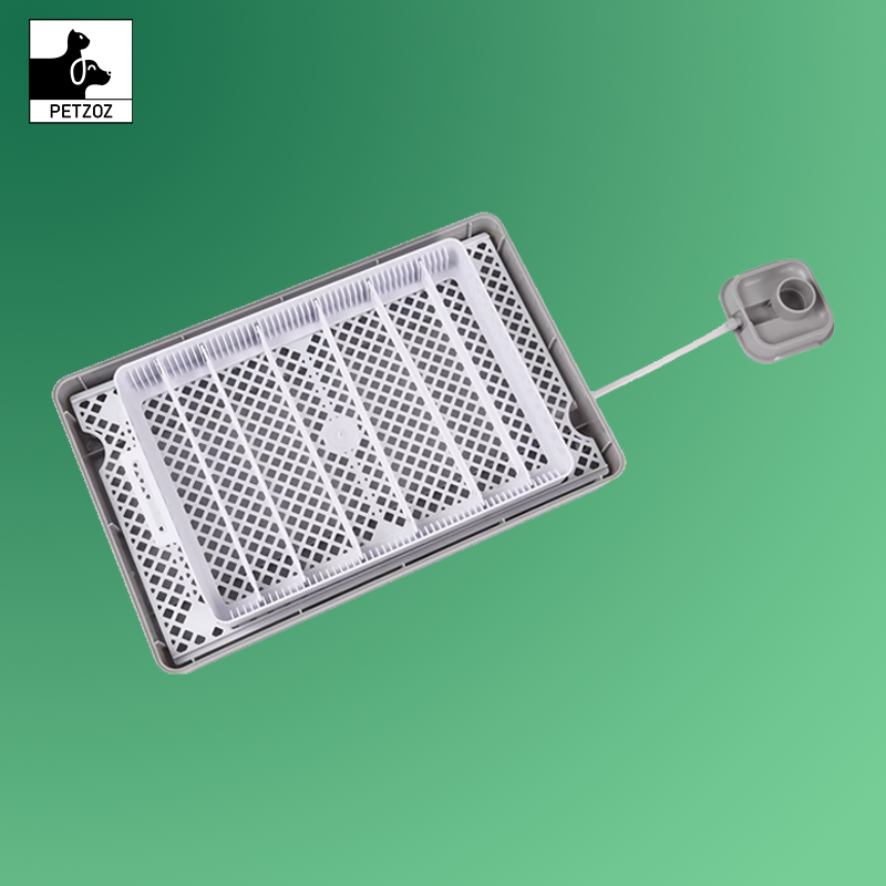 Digital Egg Incubator 20 Eggs Poultry Hatcher Auto Egg Turning Temperature Control LED Light Humidity Alarm Incubator for Eggs
