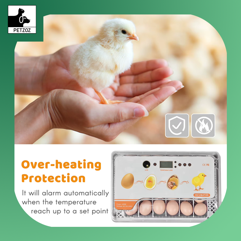 Digital Egg Incubator 20 Eggs Poultry Hatcher Auto Egg Turning Temperature Control LED Light Humidity Alarm Incubator for Eggs