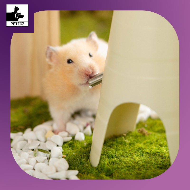 Hamster Water Bottle Drinker Automatic Feeder