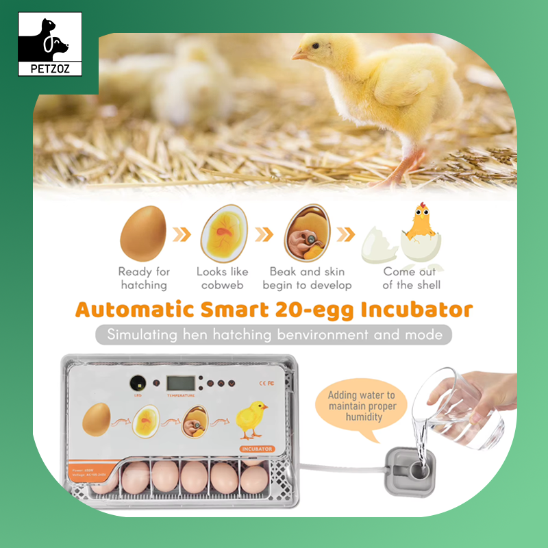Digital Egg Incubator 20 Eggs Poultry Hatcher with Auto Egg Turning Temperature Control LED Light Temperature Humidity Alarm