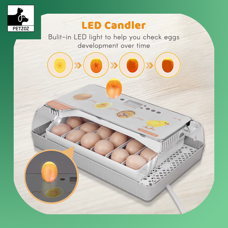Digital Egg Incubator 20 Eggs Poultry Hatcher Auto Egg Turning Temperature Control LED Light Humidity Alarm Incubator for Eggs