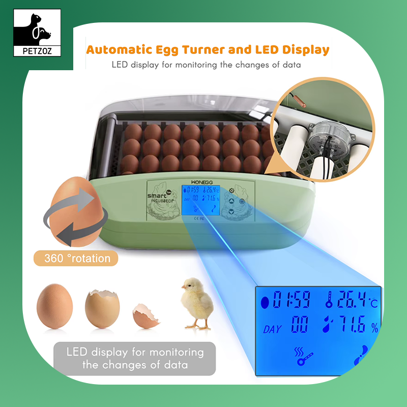 32 Eggs Egg Incubator LED Poultry Digital Hatcher with Auto Egg Turning Temperature Control Temperature Humidity Alarm Incubator