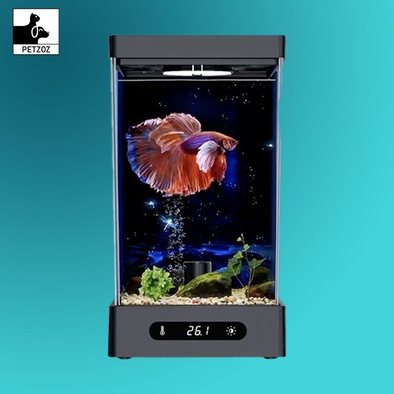 Bluetooth Version Douyu Special Cylinder Small Fish Tank