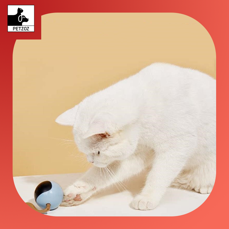 Pet Smart Interactive Colorful LED Rotating Ball