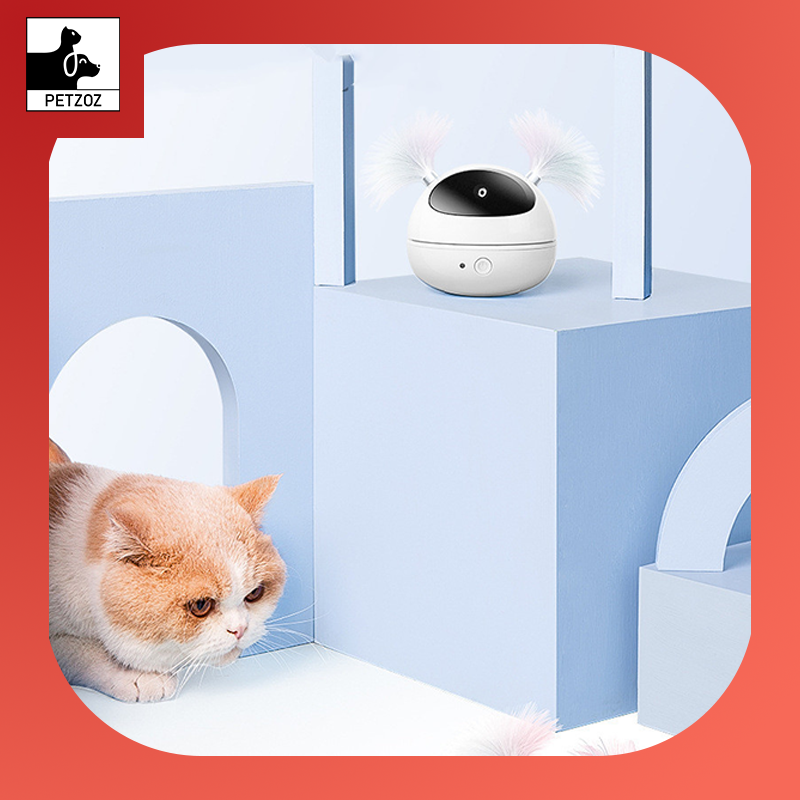 Automatic electric cat toy cat toy