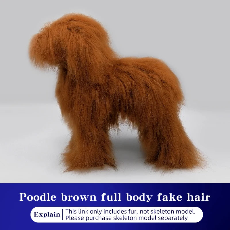 Pet simulation hair  beauty fake beautician practicing dog standard poodle full body  skeleton model dog for pet grooming