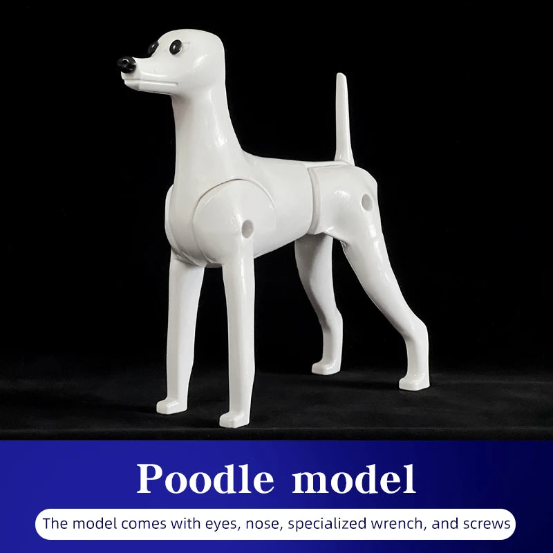 Pet simulation hair  beauty fake beautician practicing dog standard poodle full body  skeleton model dog for pet grooming