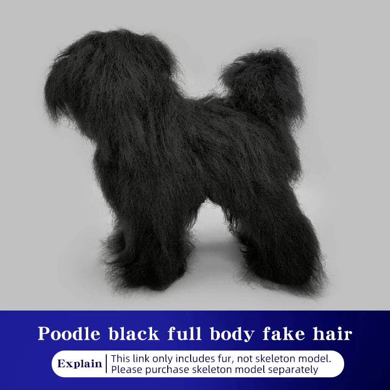Pet simulation hair  beauty fake beautician practicing dog standard poodle full body  skeleton model dog for pet grooming