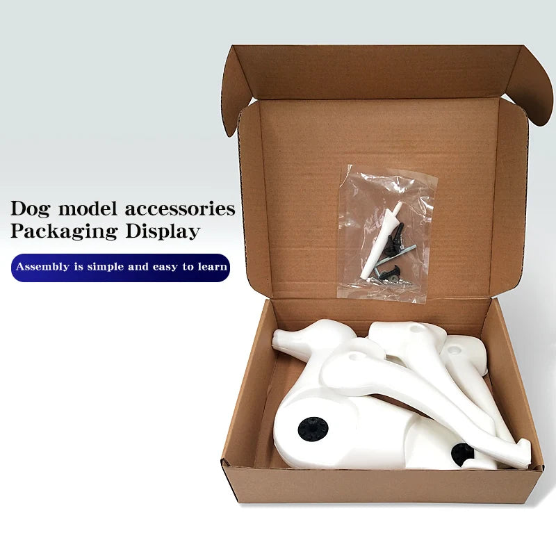 Pet simulation hair  beauty fake beautician practicing dog standard poodle full body  skeleton model dog for pet grooming